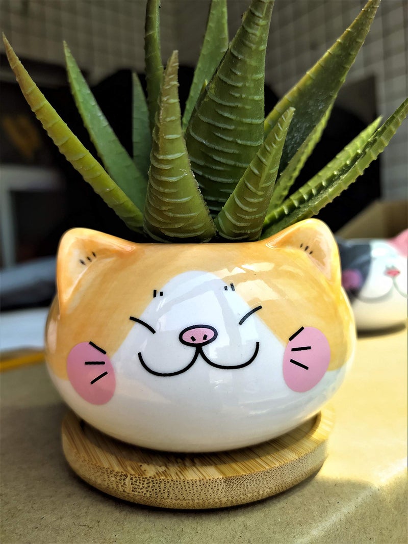 Cuteforyou Cute 3.5 Inches Indoor Cartoon Animal Cat Shaped Ceramic Succulent Cactus Flower Plant Pots with Bamboo Tray-Plant Not Included (Yellow) - Image 3